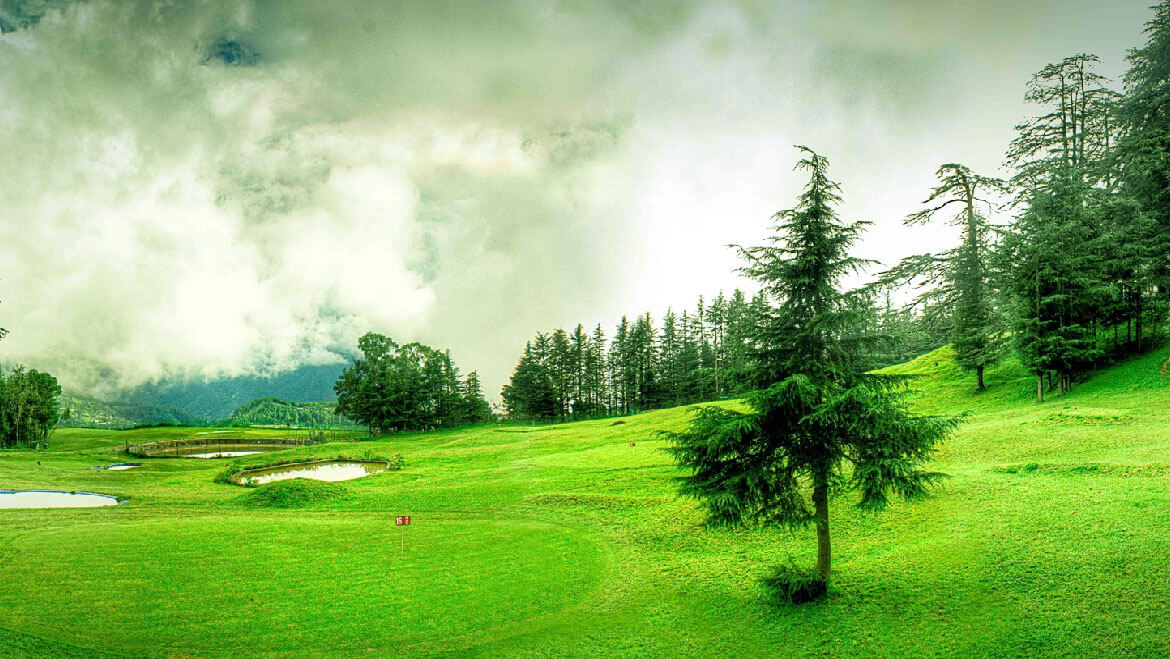Day 4: Naldehra Golf Course & Nature Retreat